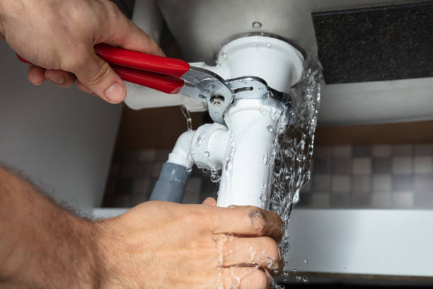 Best Local water damage restoration  in Edenton, NC