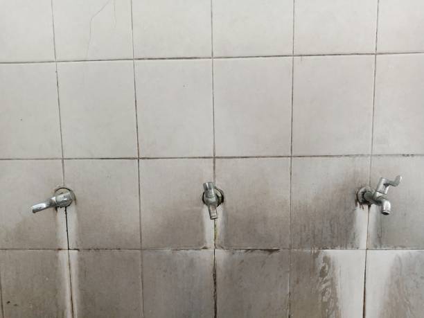 Best 24/7 water damage repair  in Edenton, NC