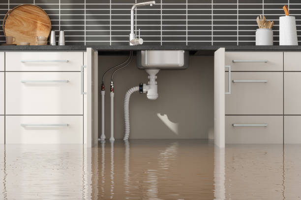 Best Water damage restoration specialists  in Edenton, NC