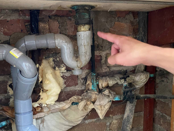 Best Water damage mitigation services  in Edenton, NC