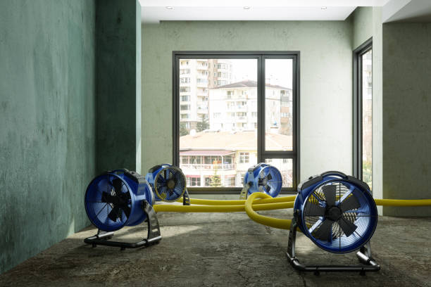 Best Carpet water damage restoration  in Edenton, NC